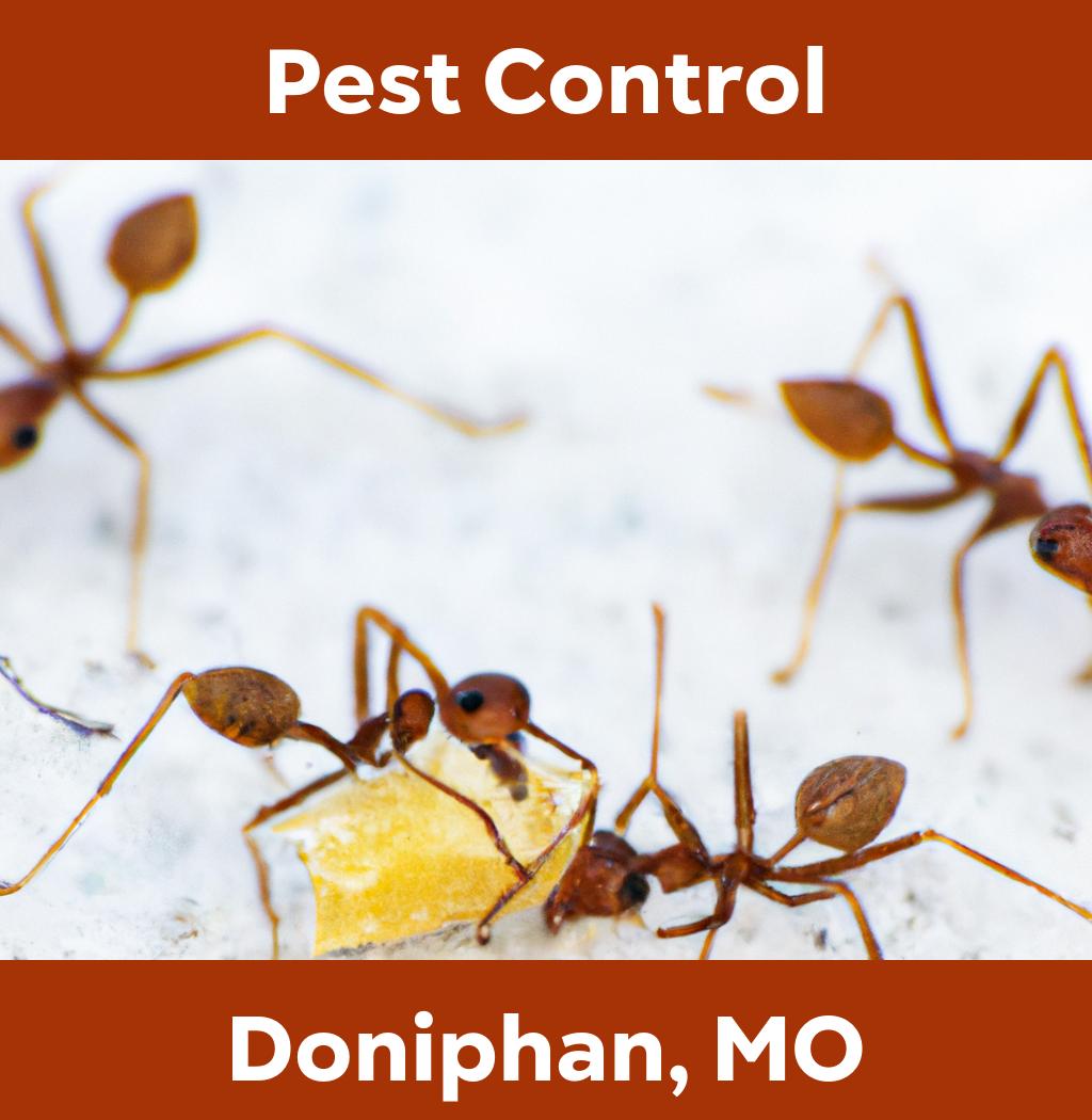 pest control in Doniphan Missouri