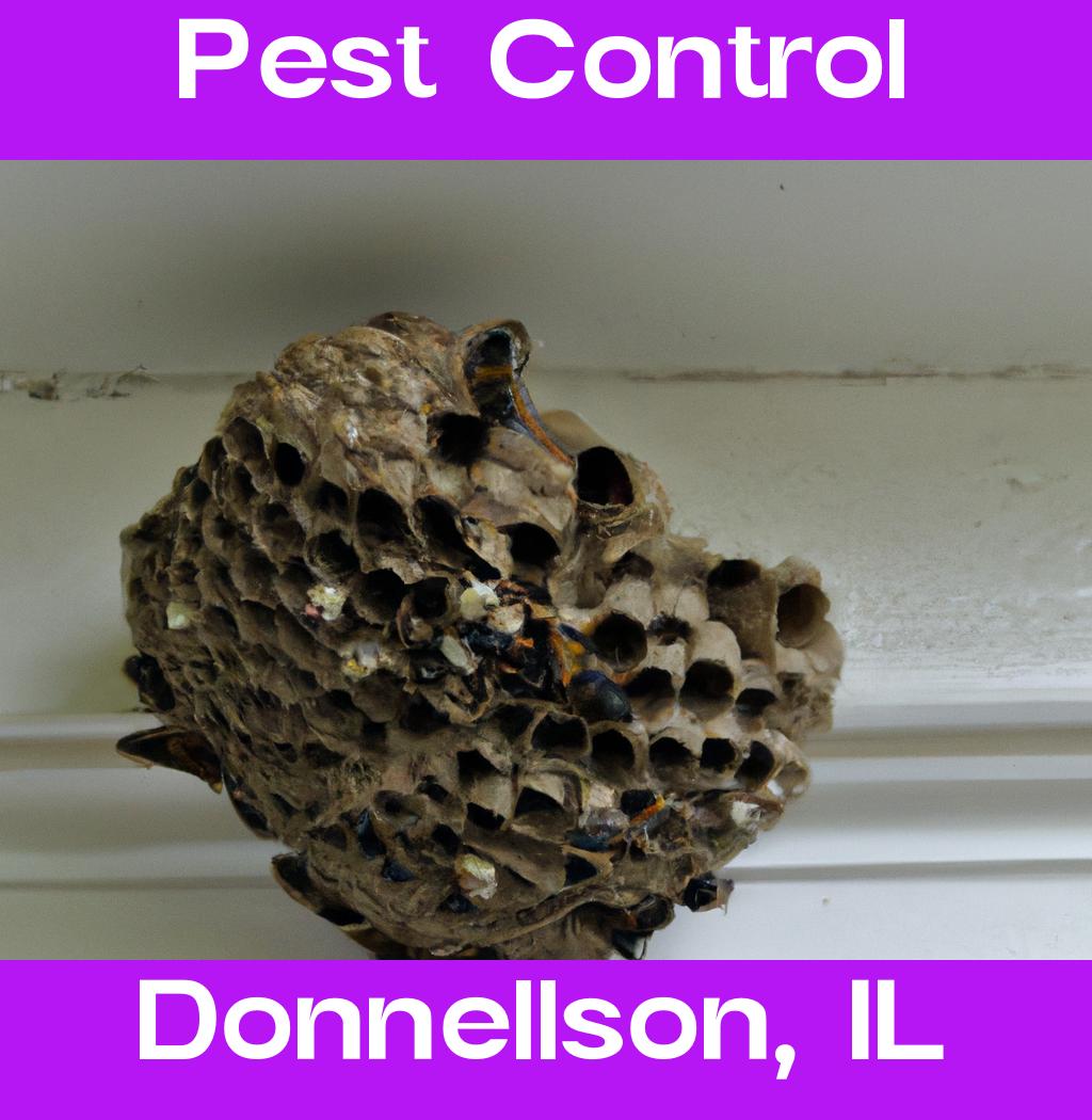 pest control in Donnellson Illinois