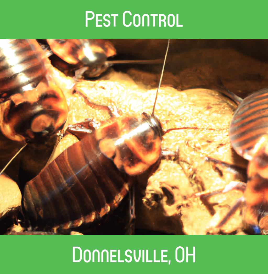 pest control in Donnelsville Ohio