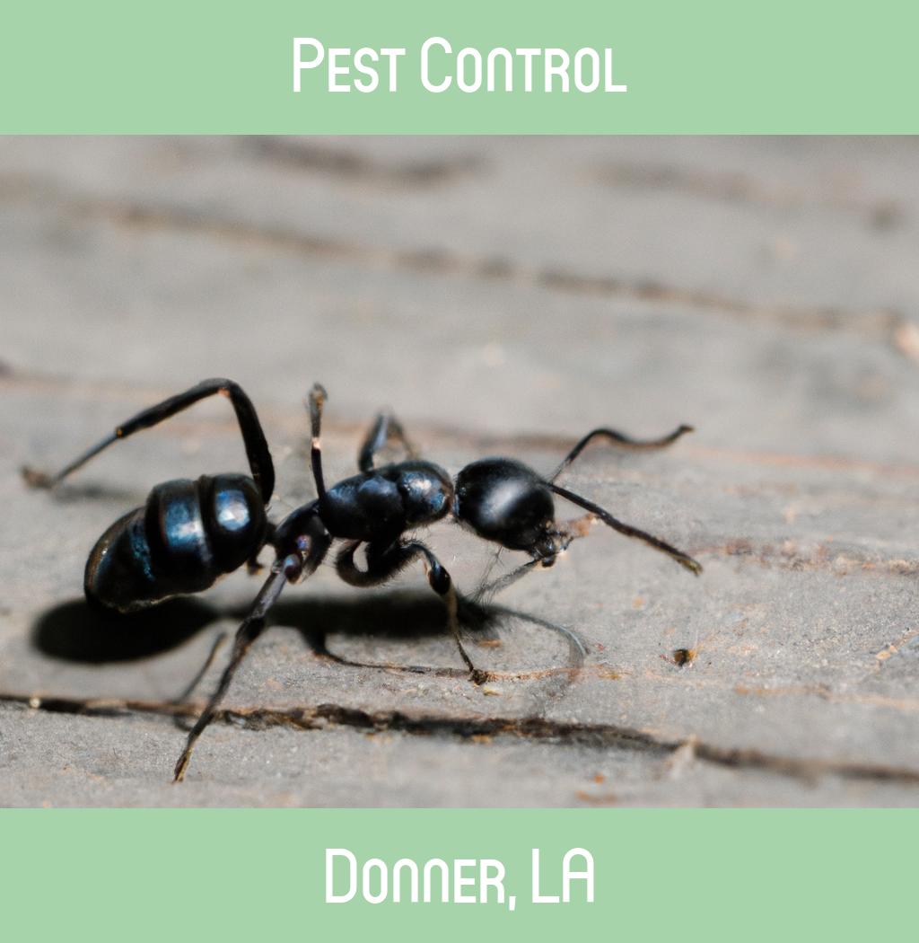 pest control in Donner Louisiana