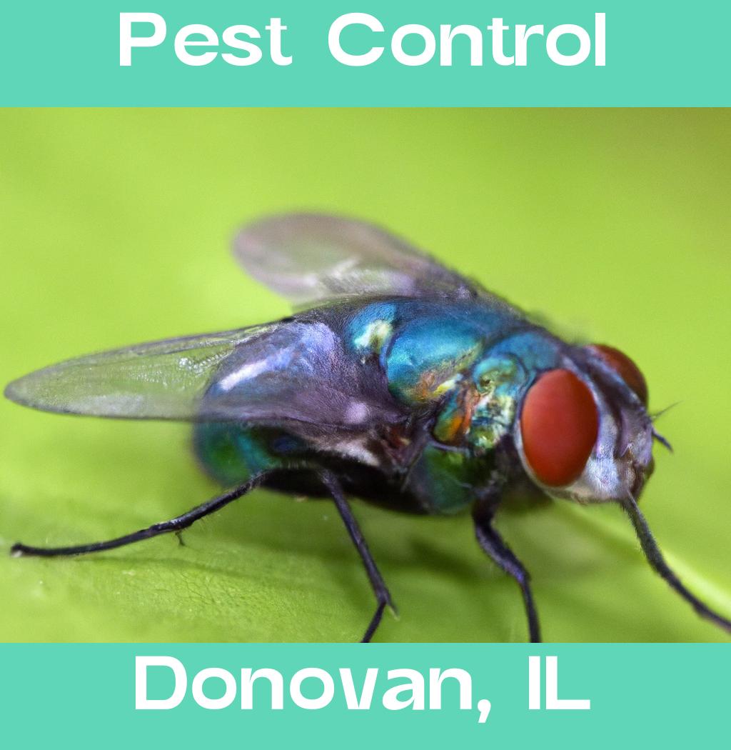 pest control in Donovan Illinois