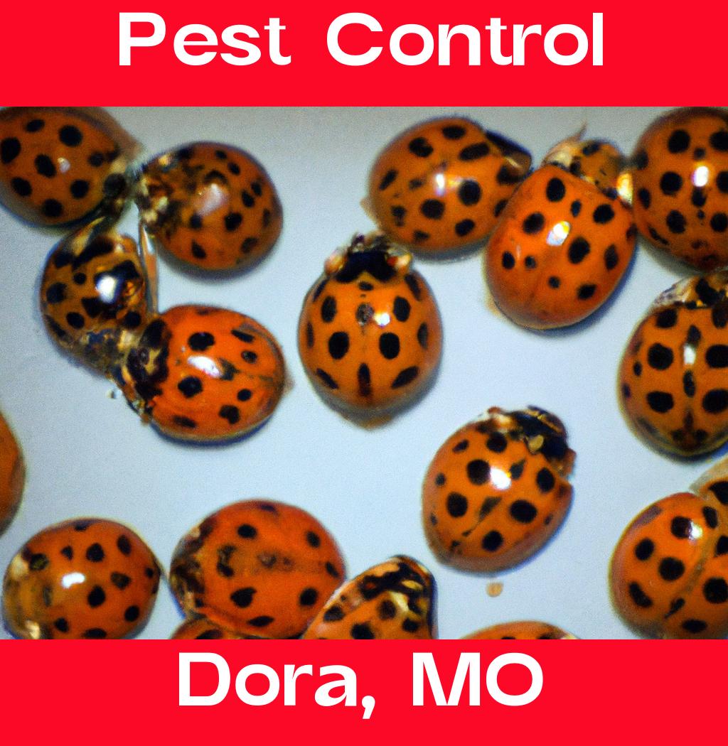 pest control in Dora Missouri