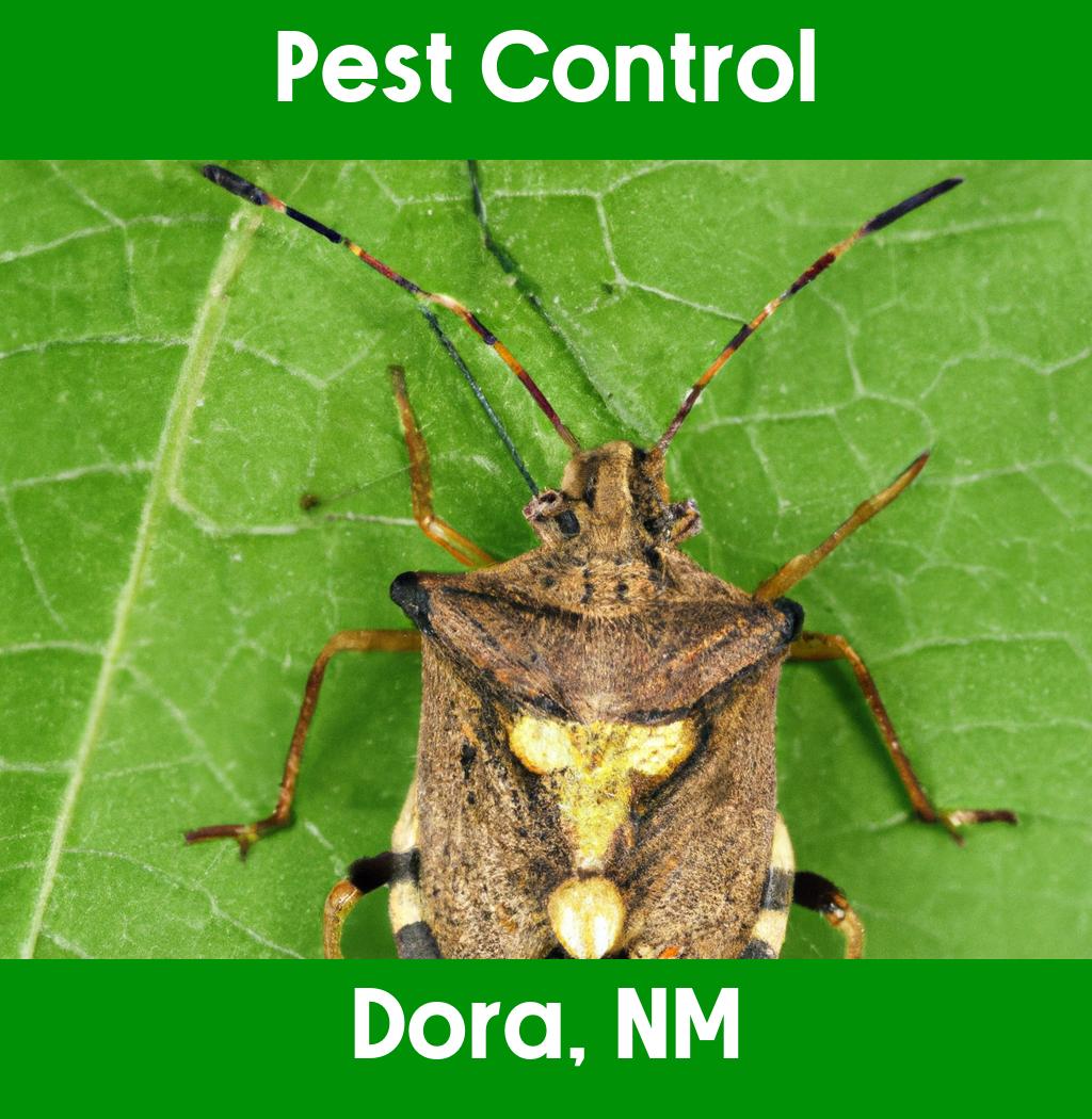 pest control in Dora New Mexico