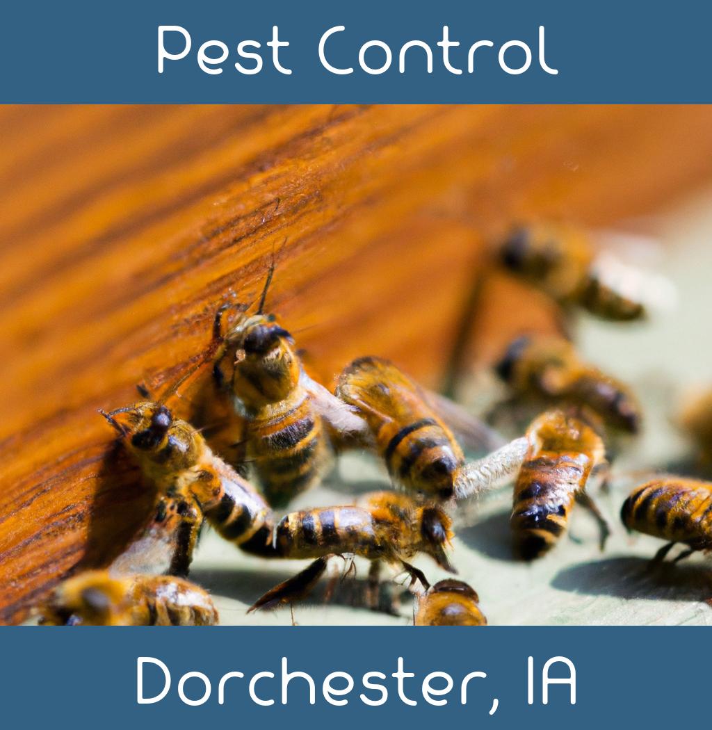pest control in Dorchester Iowa