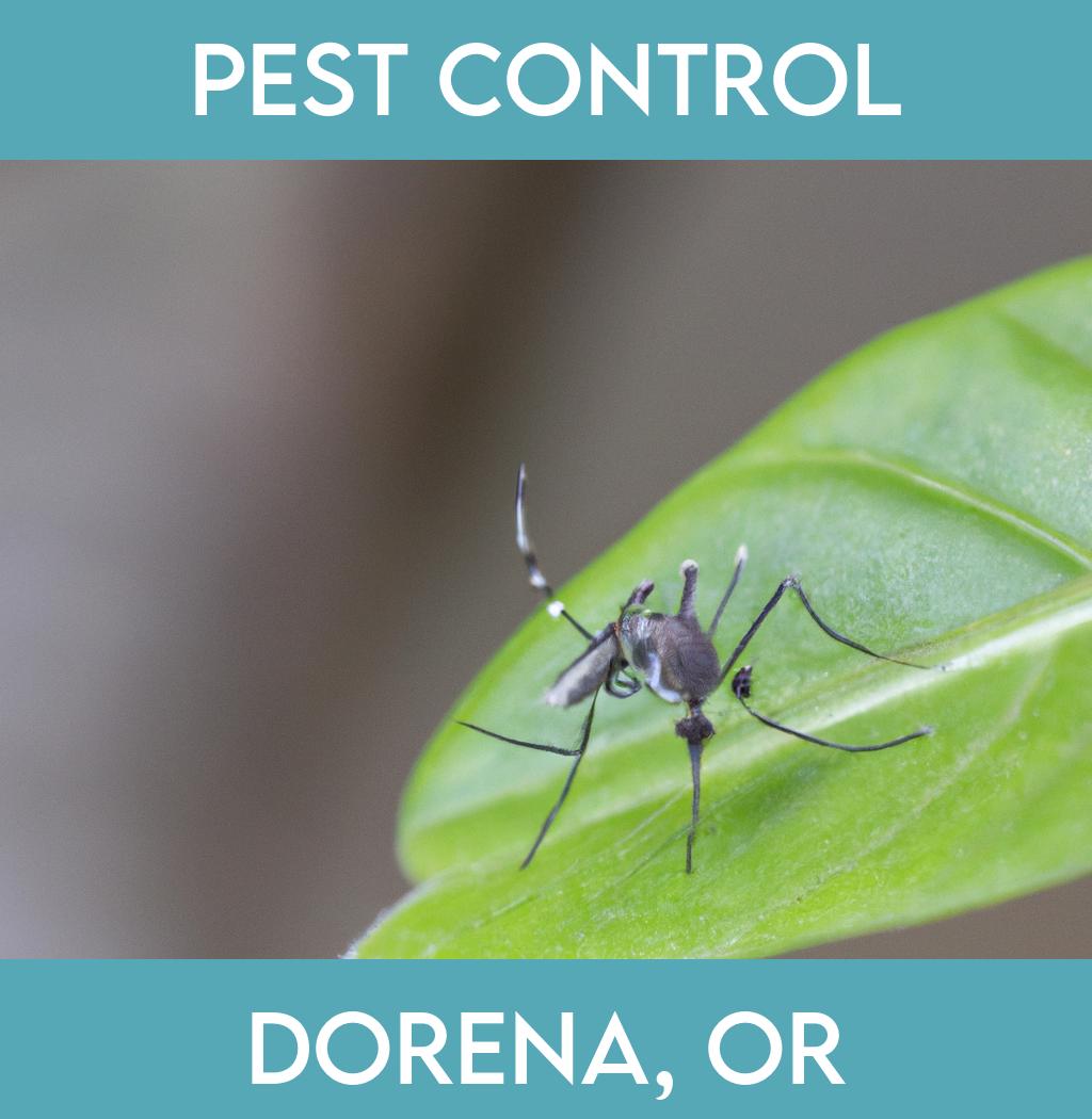 pest control in Dorena Oregon