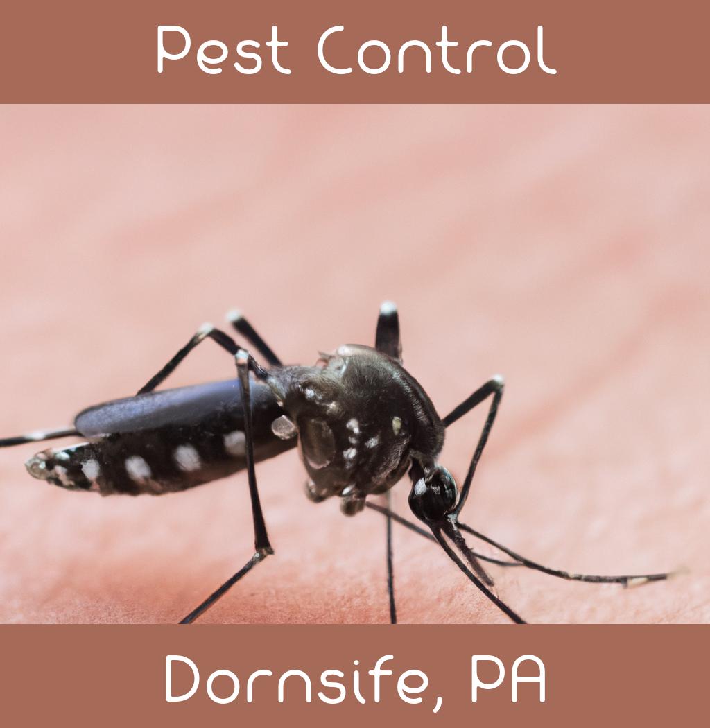 pest control in Dornsife Pennsylvania