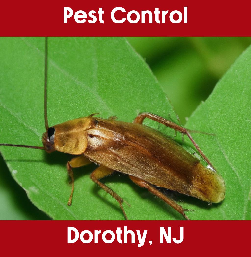 pest control in Dorothy New Jersey