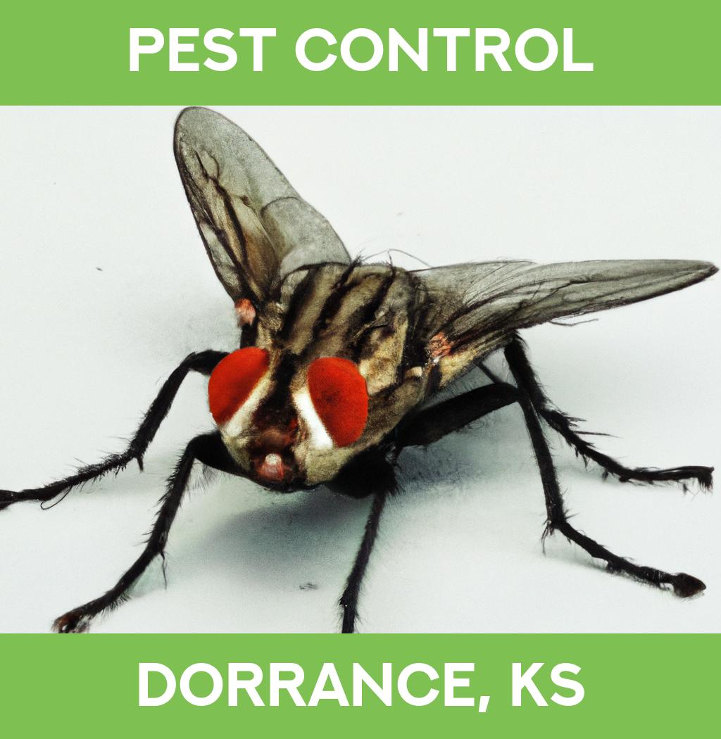 pest control in Dorrance Kansas