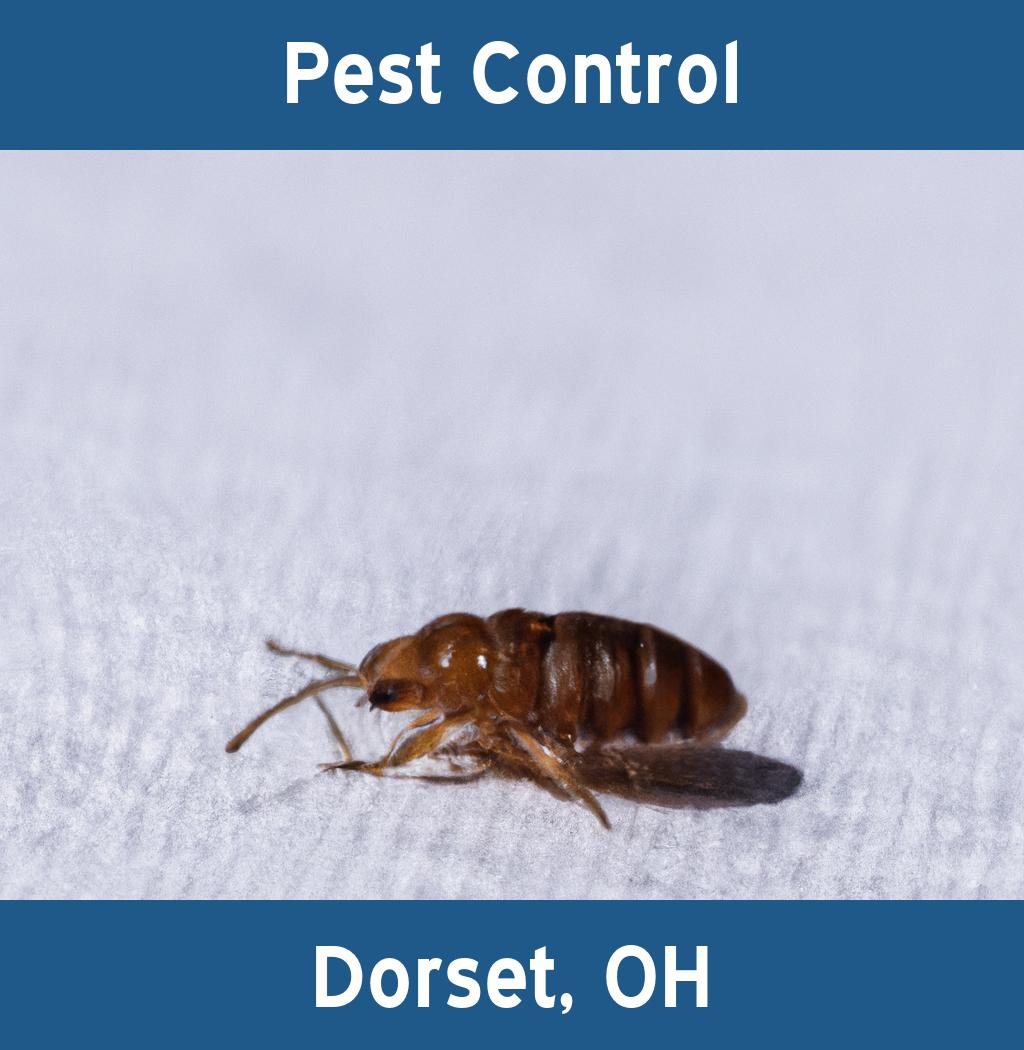 pest control in Dorset Ohio