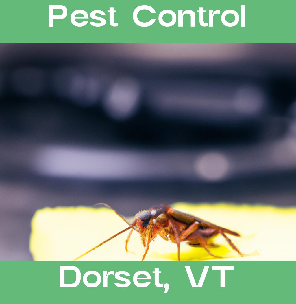 pest control in Dorset Vermont