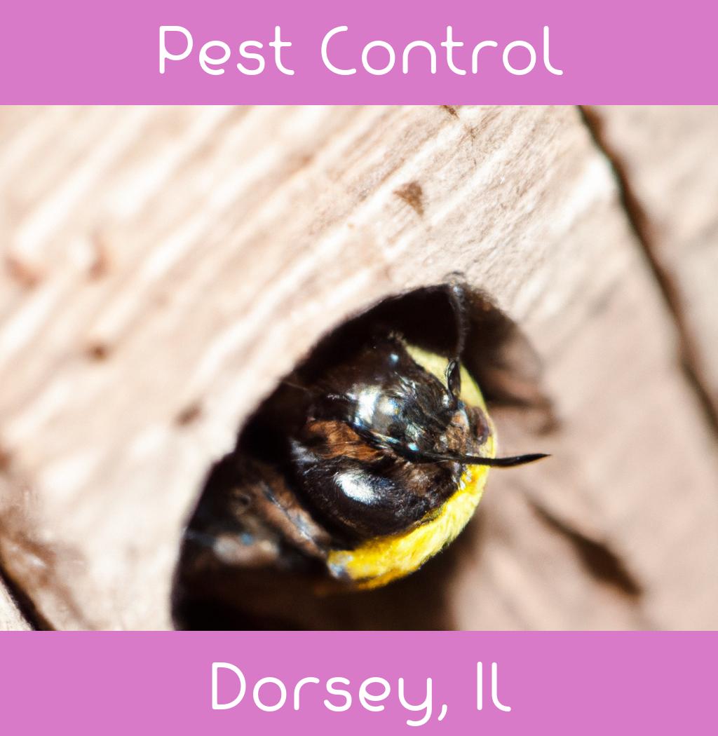 pest control in Dorsey Illinois