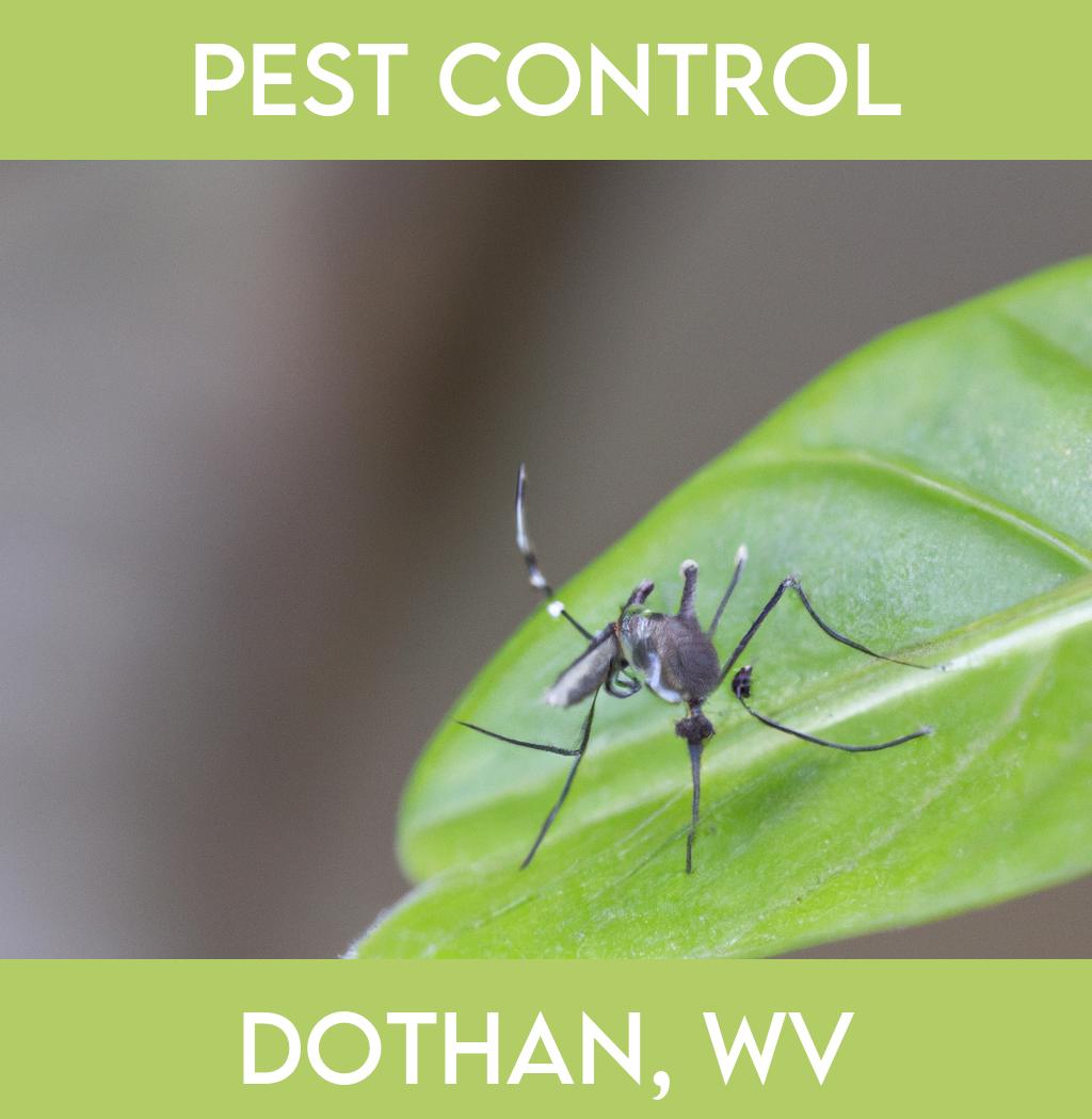 pest control in Dothan West Virginia