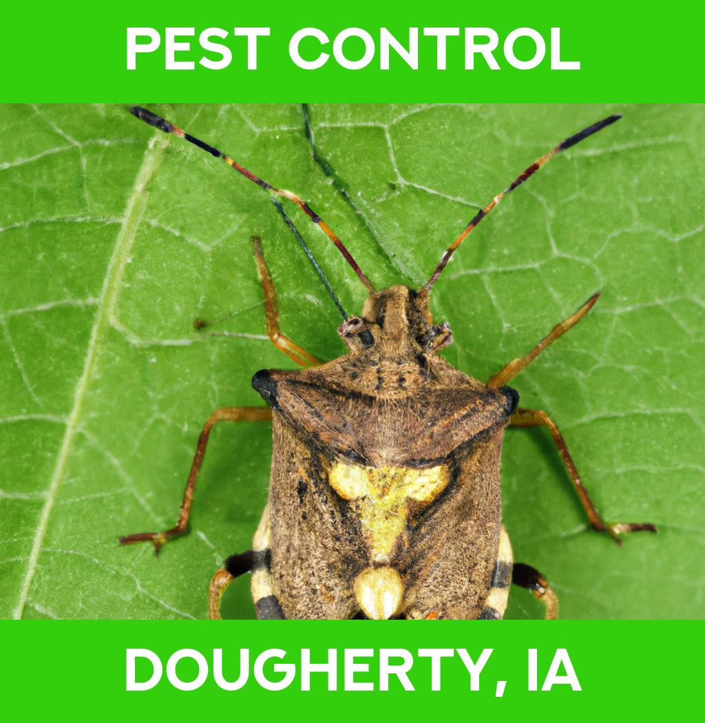 pest control in Dougherty Iowa