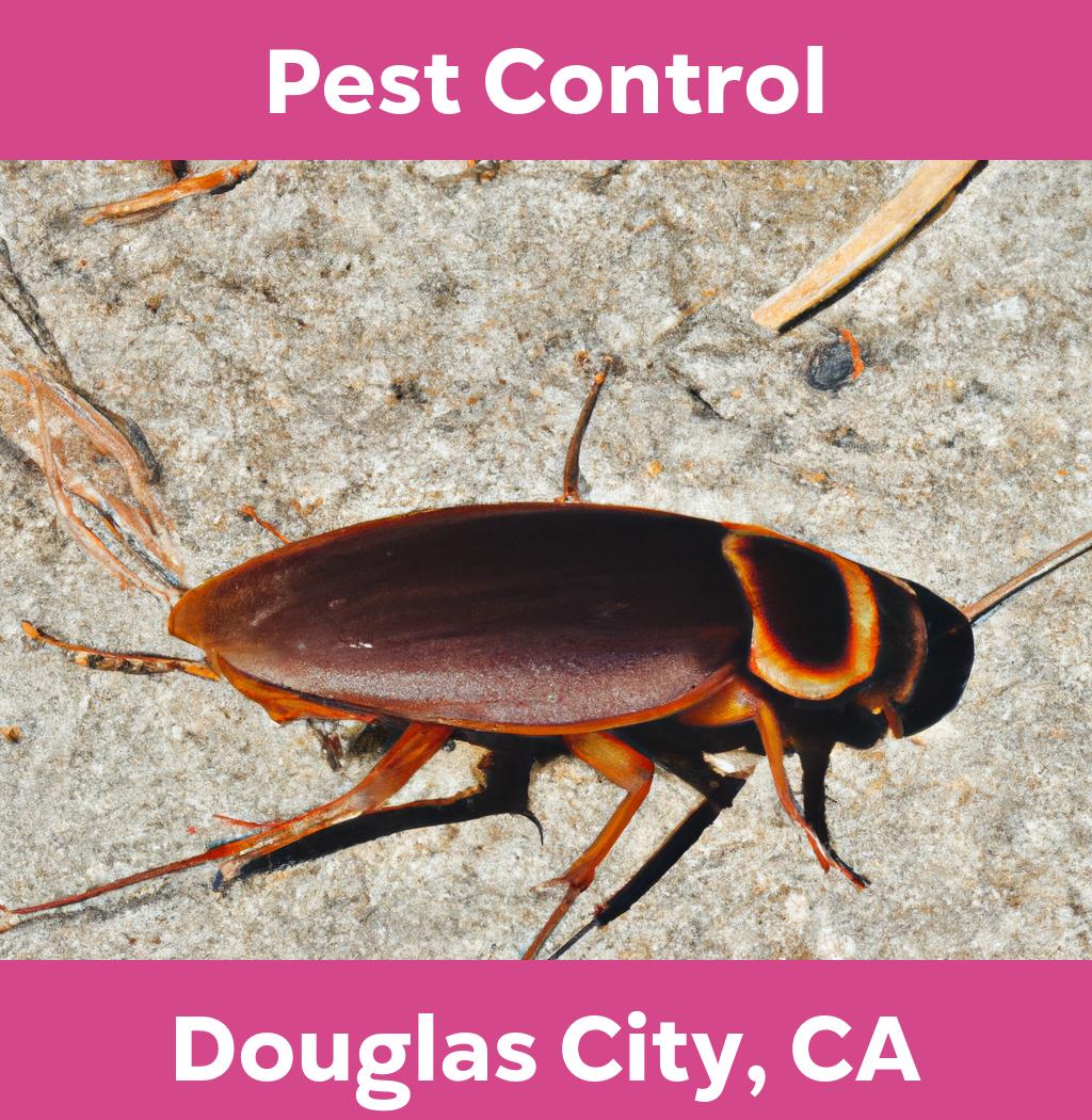 pest control in Douglas City California