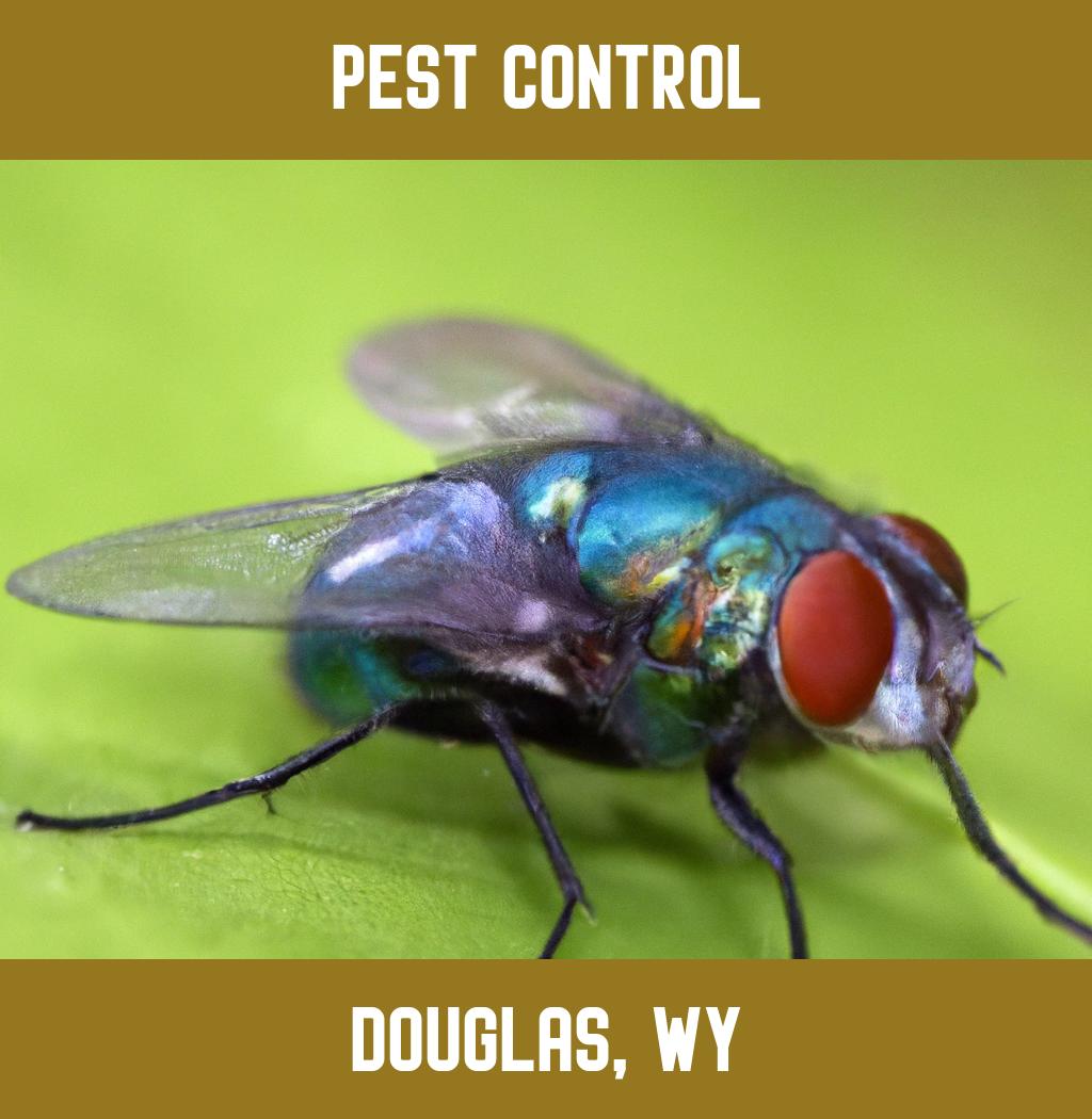 pest control in Douglas Wyoming