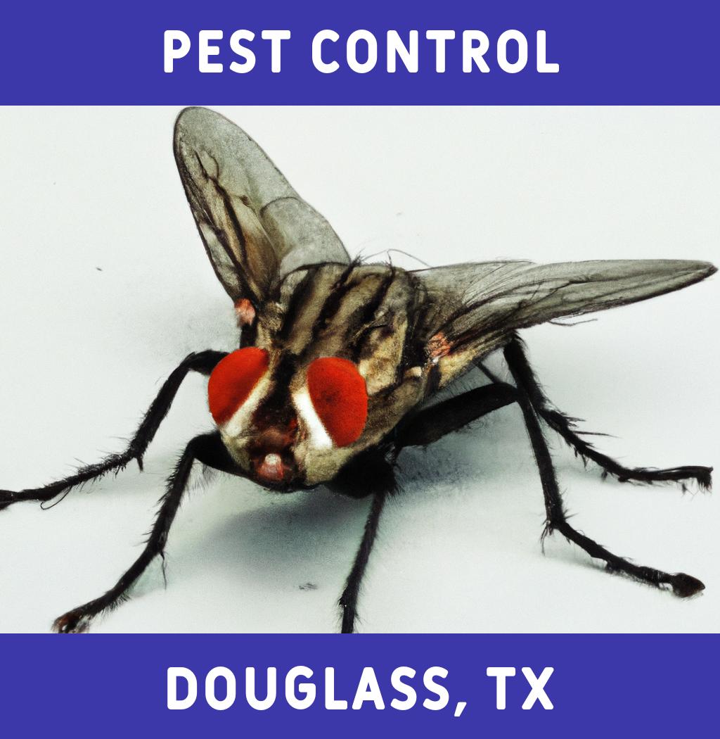 pest control in Douglass Texas