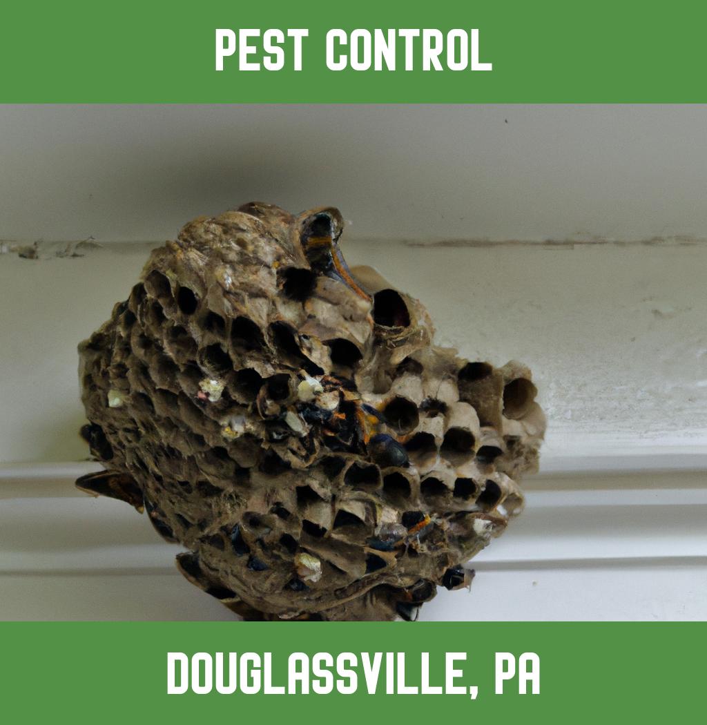 pest control in Douglassville Pennsylvania