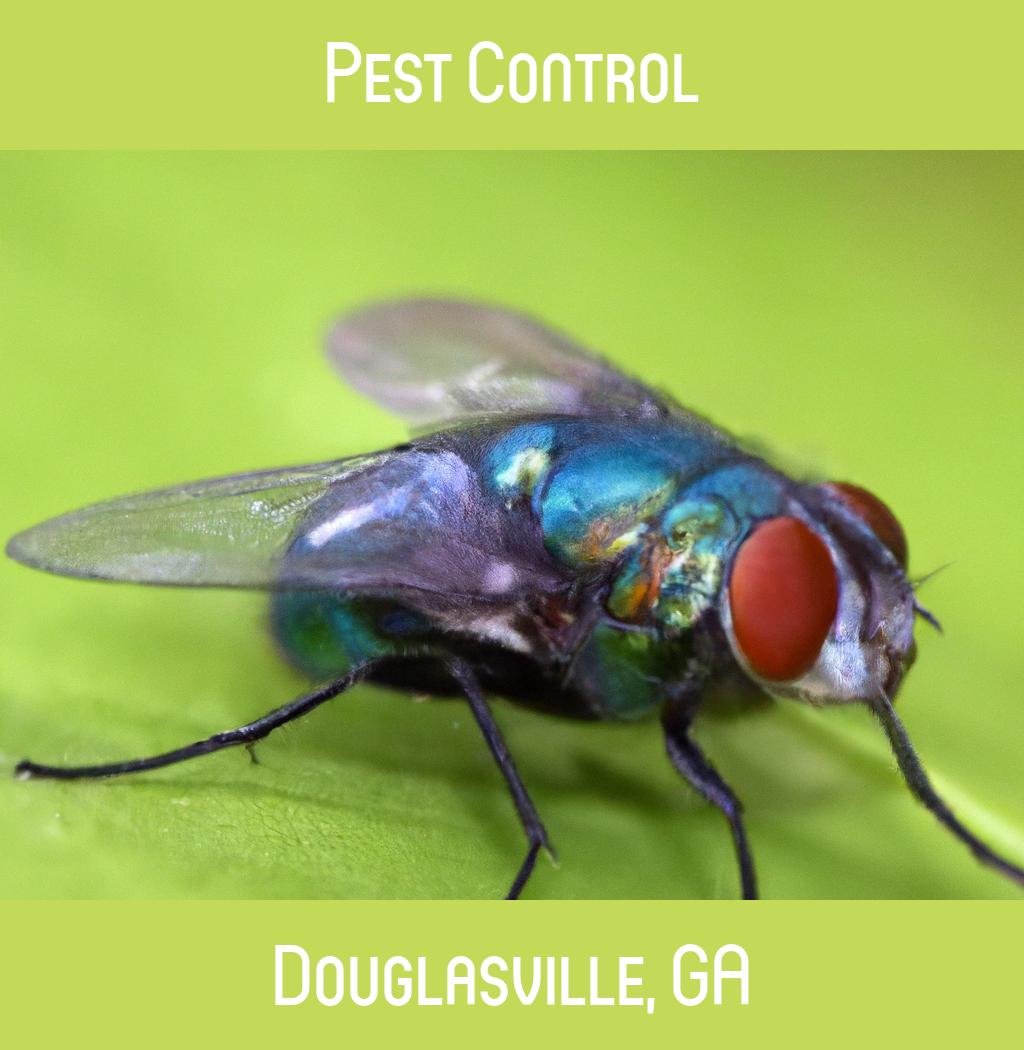 pest control in Douglasville Georgia