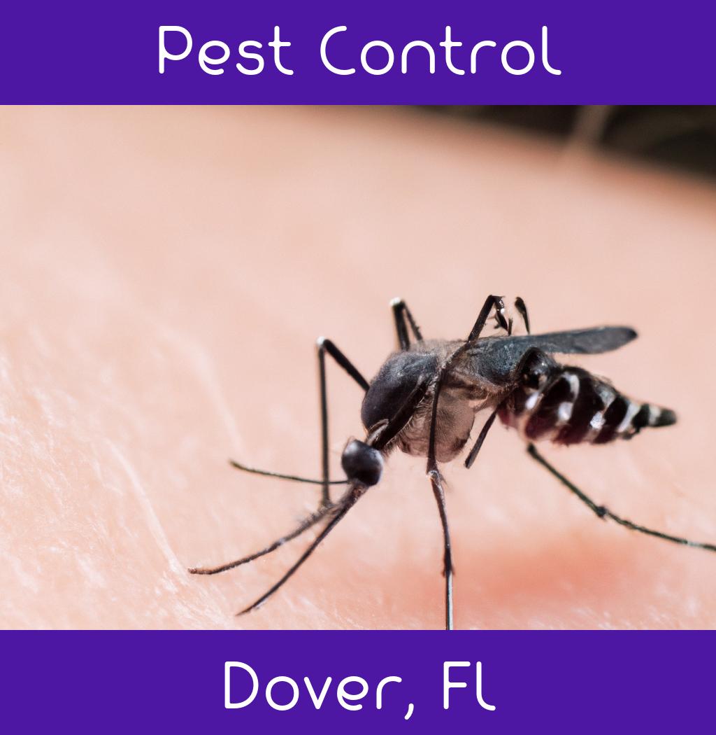 pest control in Dover Florida