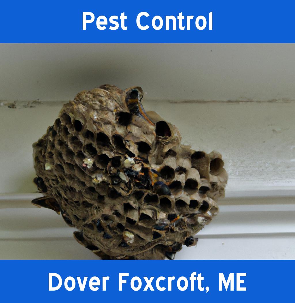 pest control in Dover Foxcroft Maine