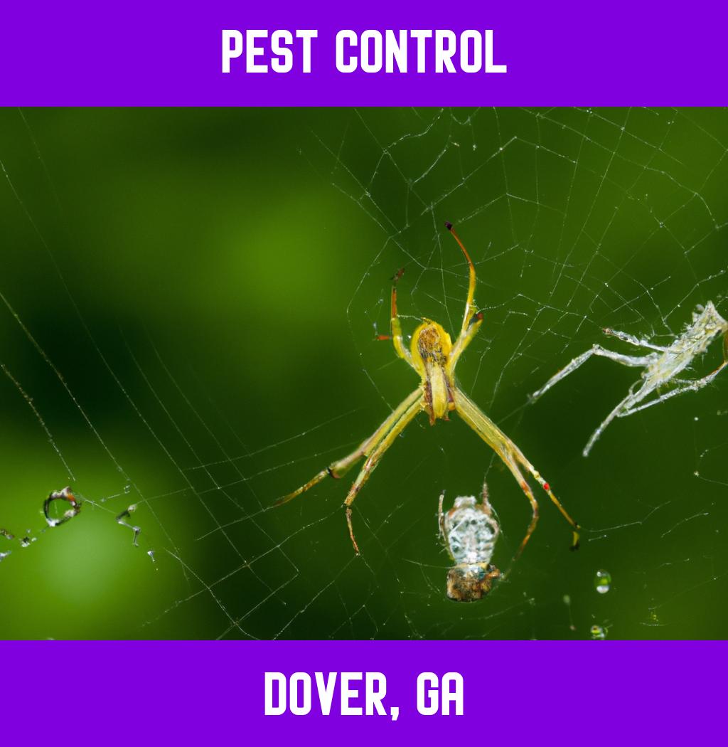 pest control in Dover Georgia