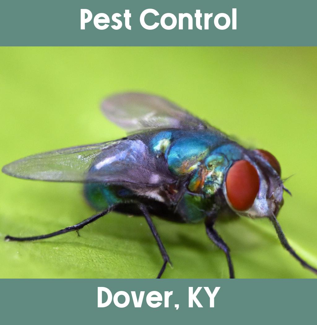 pest control in Dover Kentucky