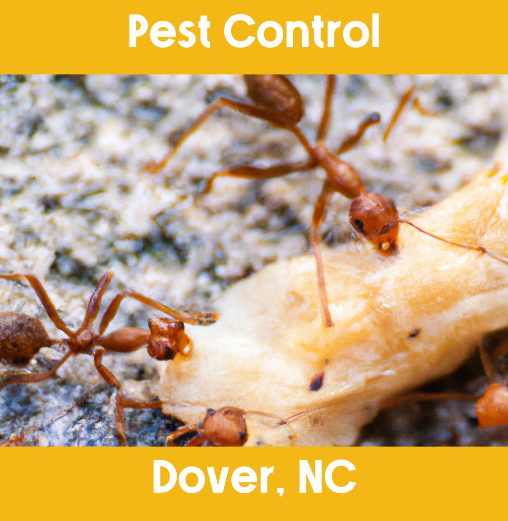 pest control in Dover North Carolina