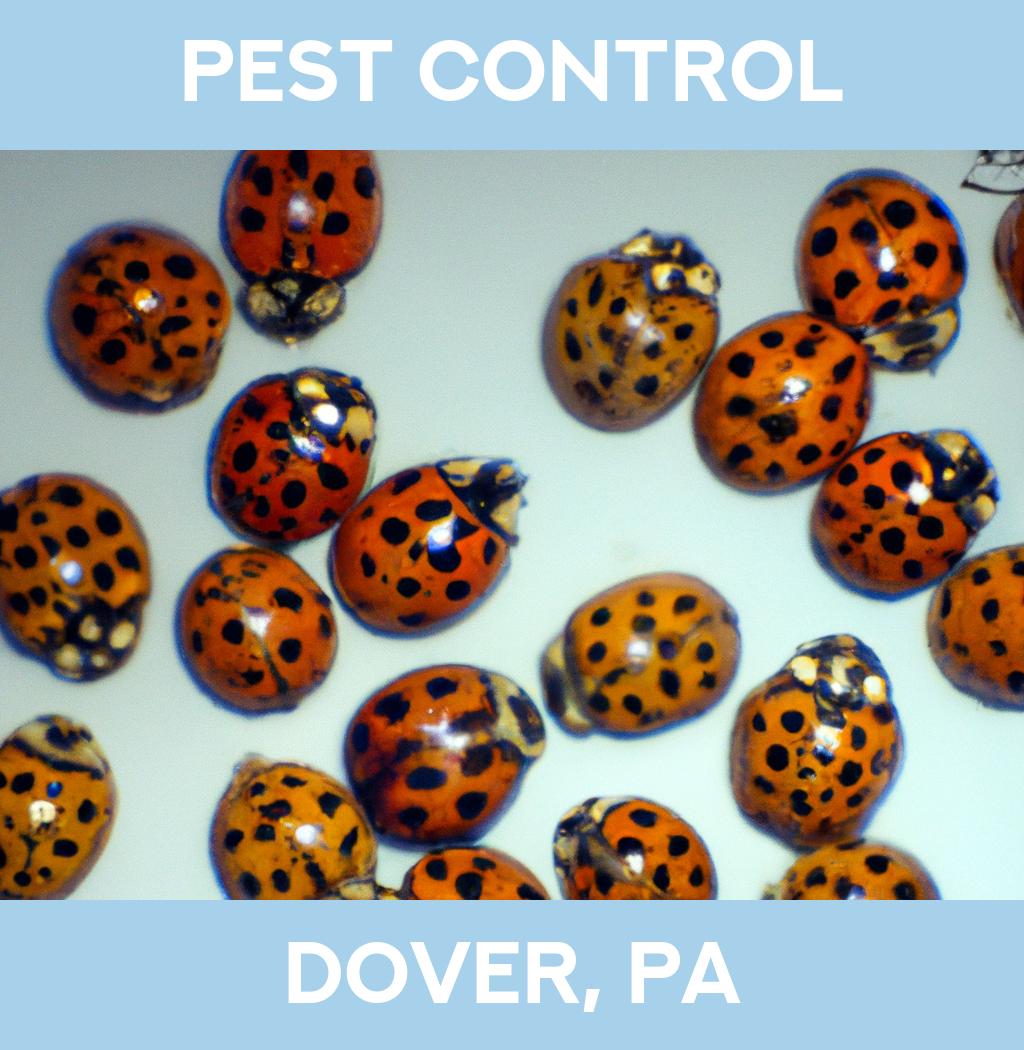 pest control in Dover Pennsylvania