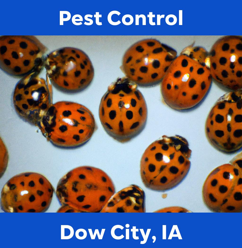 pest control in Dow City Iowa