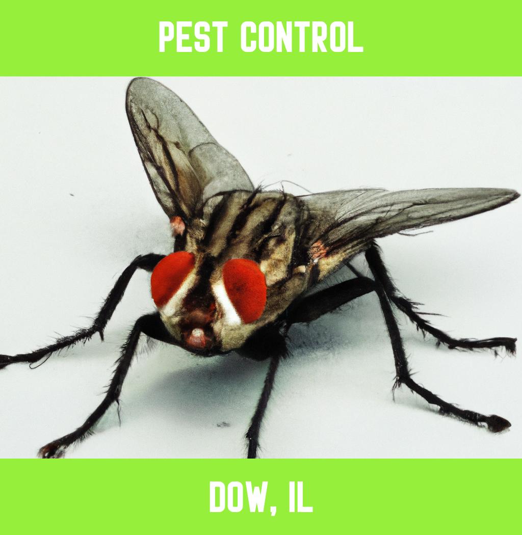 pest control in Dow Illinois