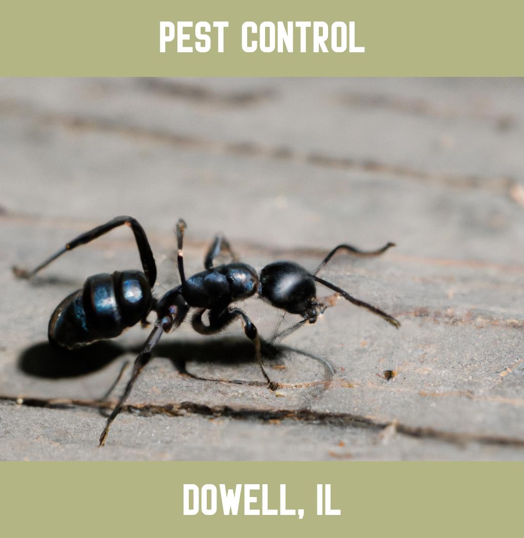 pest control in Dowell Illinois