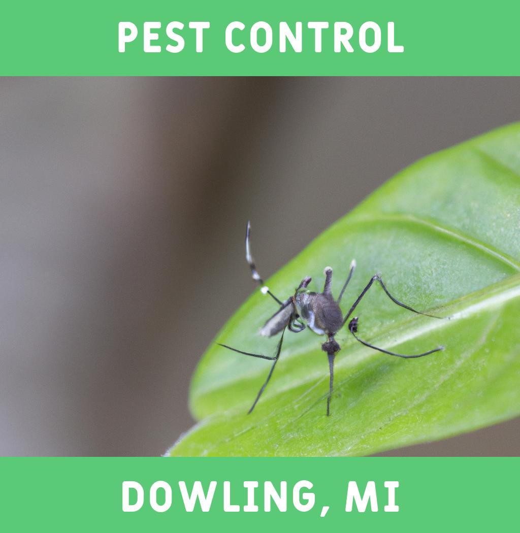 pest control in Dowling Michigan