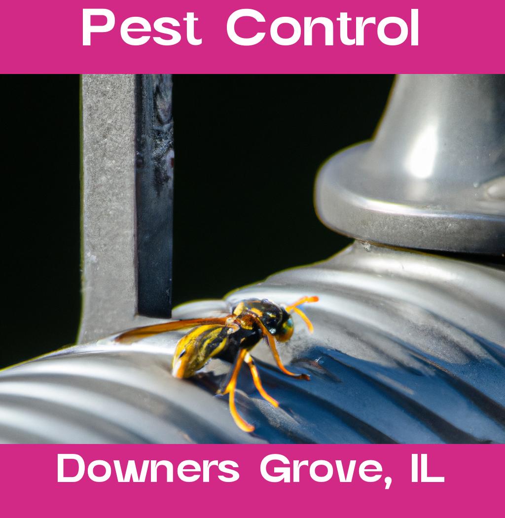 pest control in Downers Grove Illinois