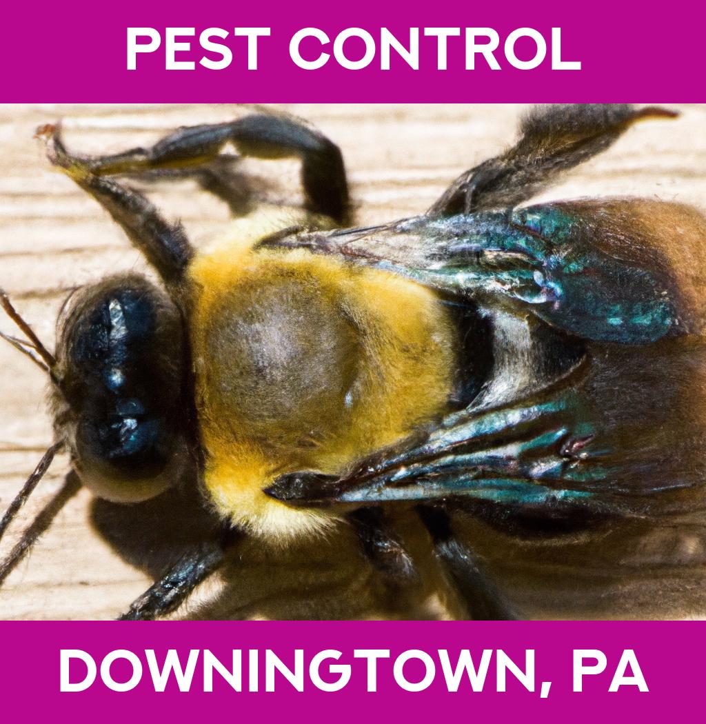 pest control in Downingtown Pennsylvania