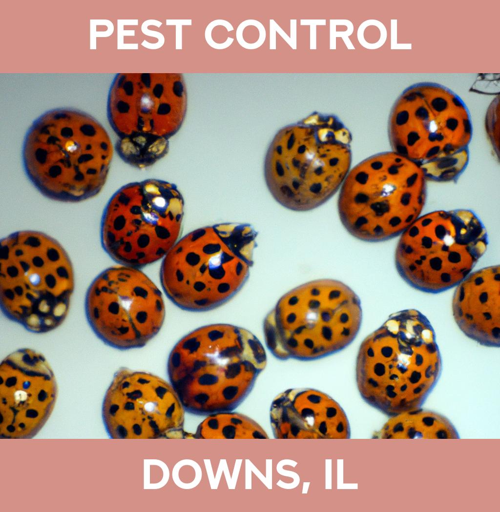 pest control in Downs Illinois