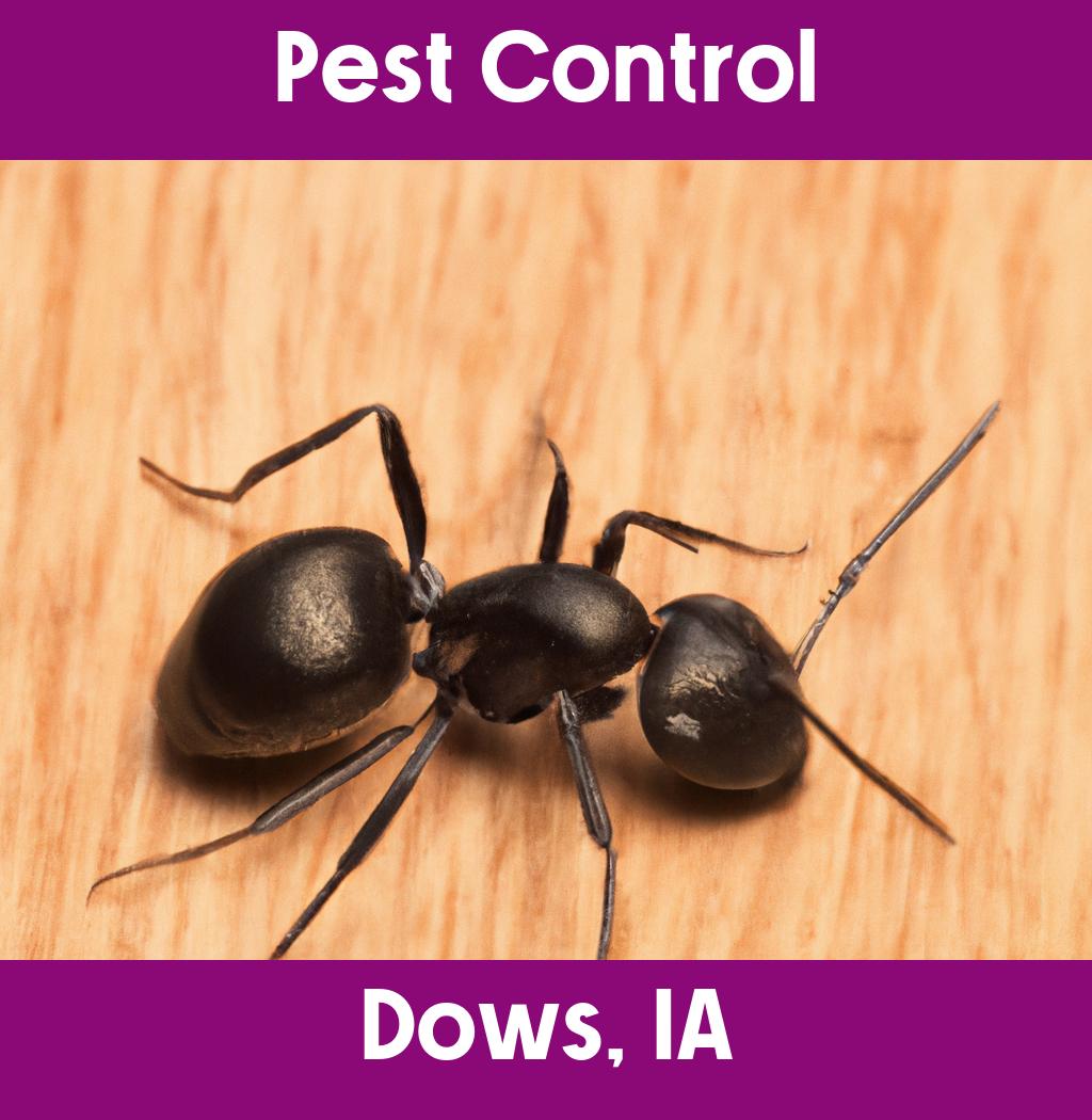 pest control in Dows Iowa