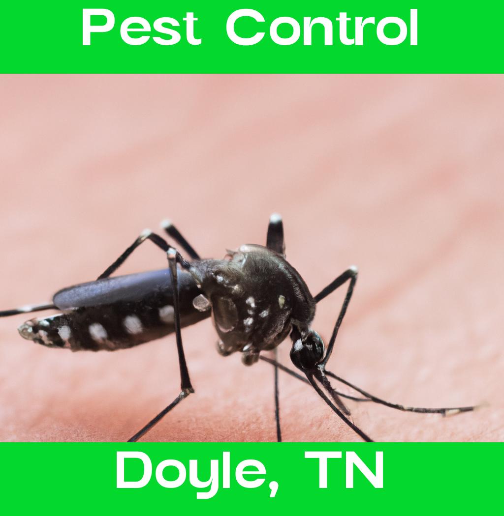 pest control in Doyle Tennessee