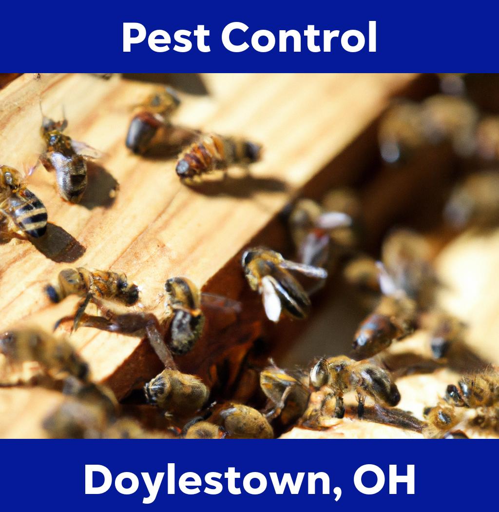 pest control in Doylestown Ohio
