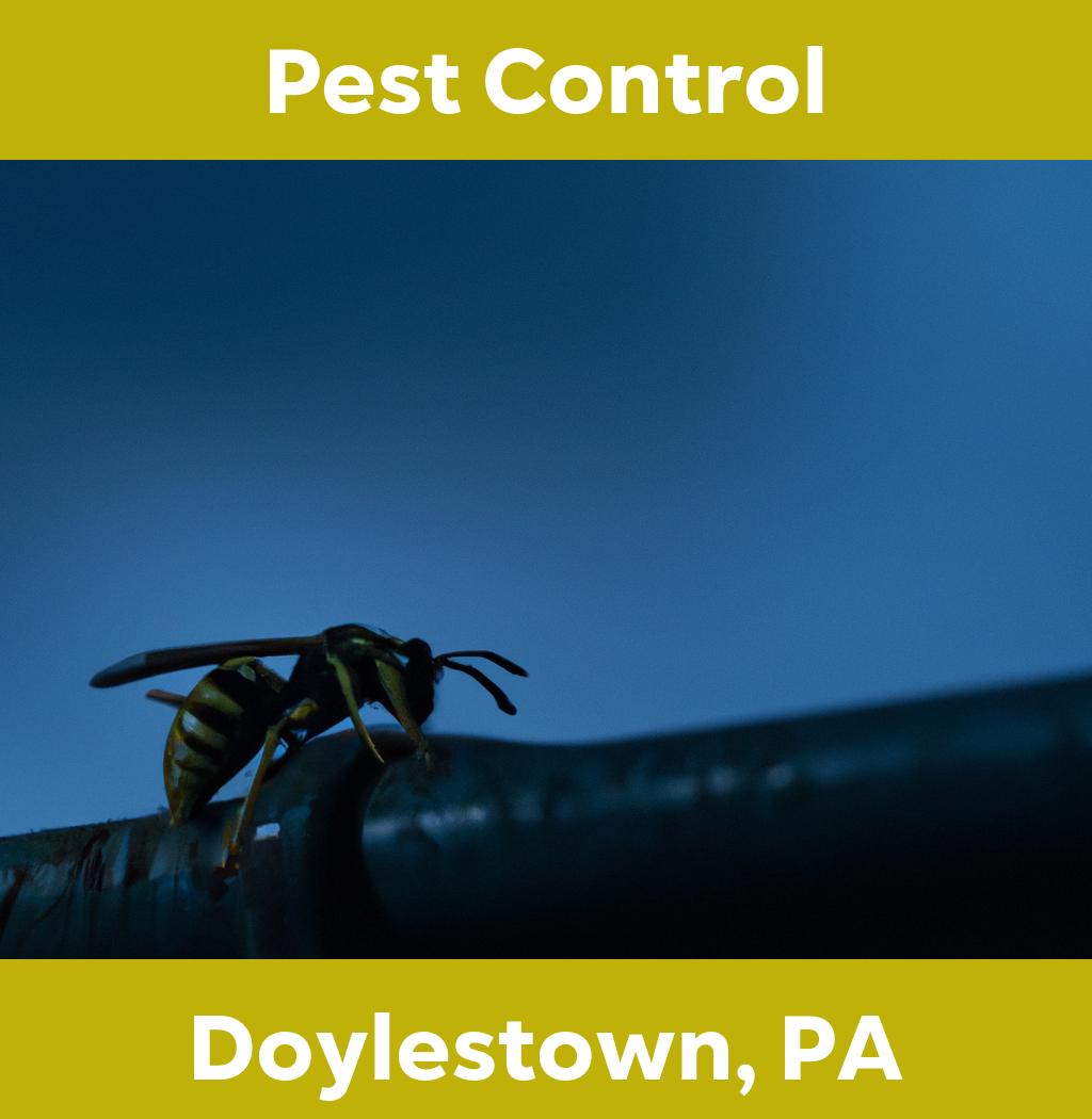 pest control in Doylestown Pennsylvania