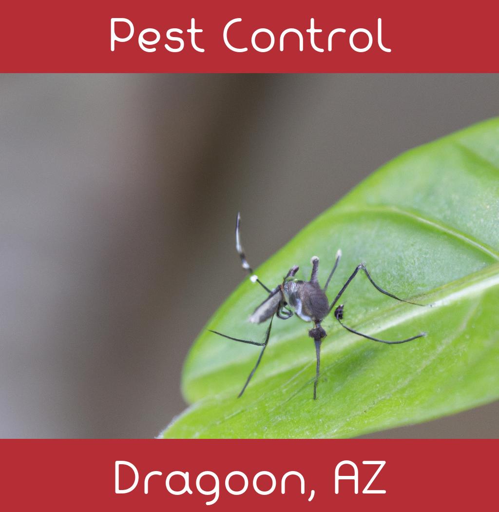 pest control in Dragoon Arizona