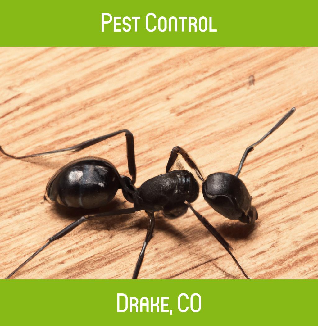 pest control in Drake Colorado