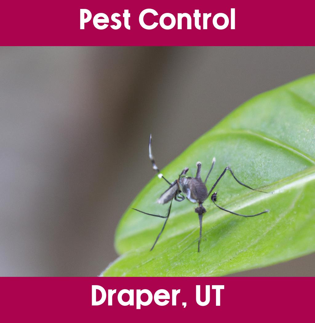 pest control in Draper Utah
