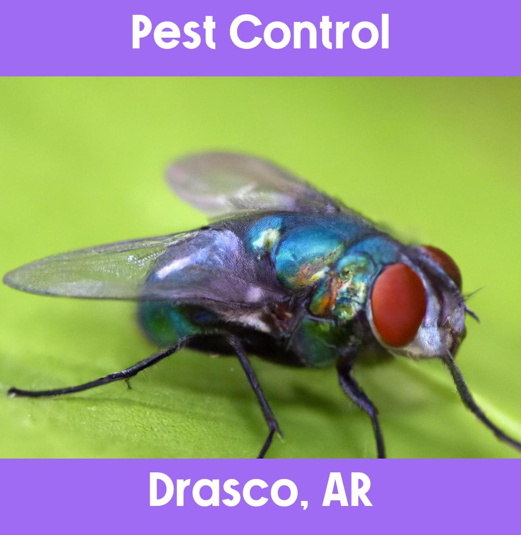pest control in Drasco Arkansas