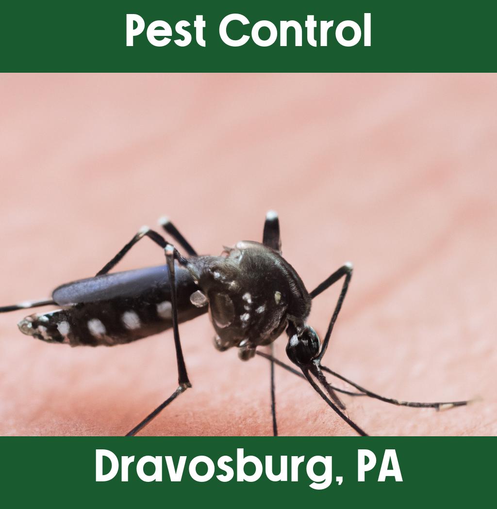 pest control in Dravosburg Pennsylvania
