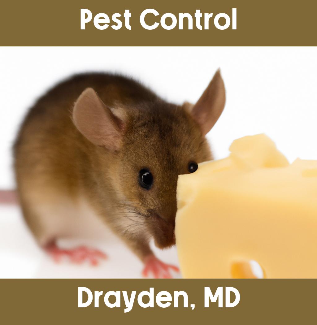 pest control in Drayden Maryland