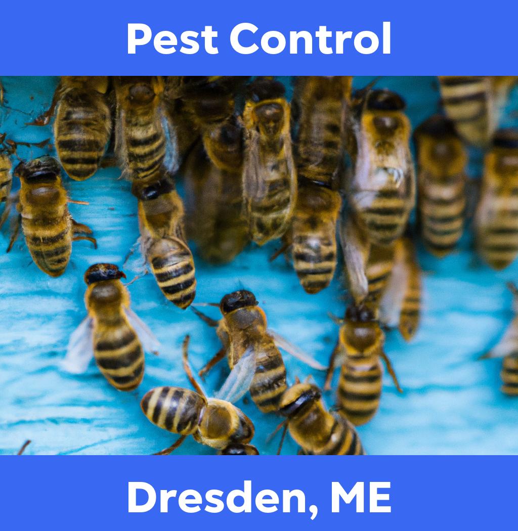 pest control in Dresden Maine