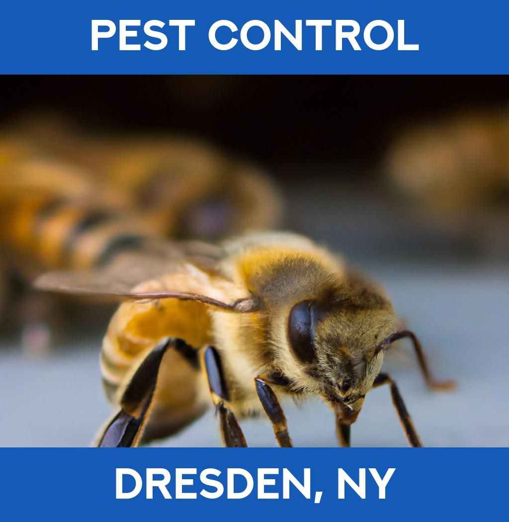 pest control in Dresden New York