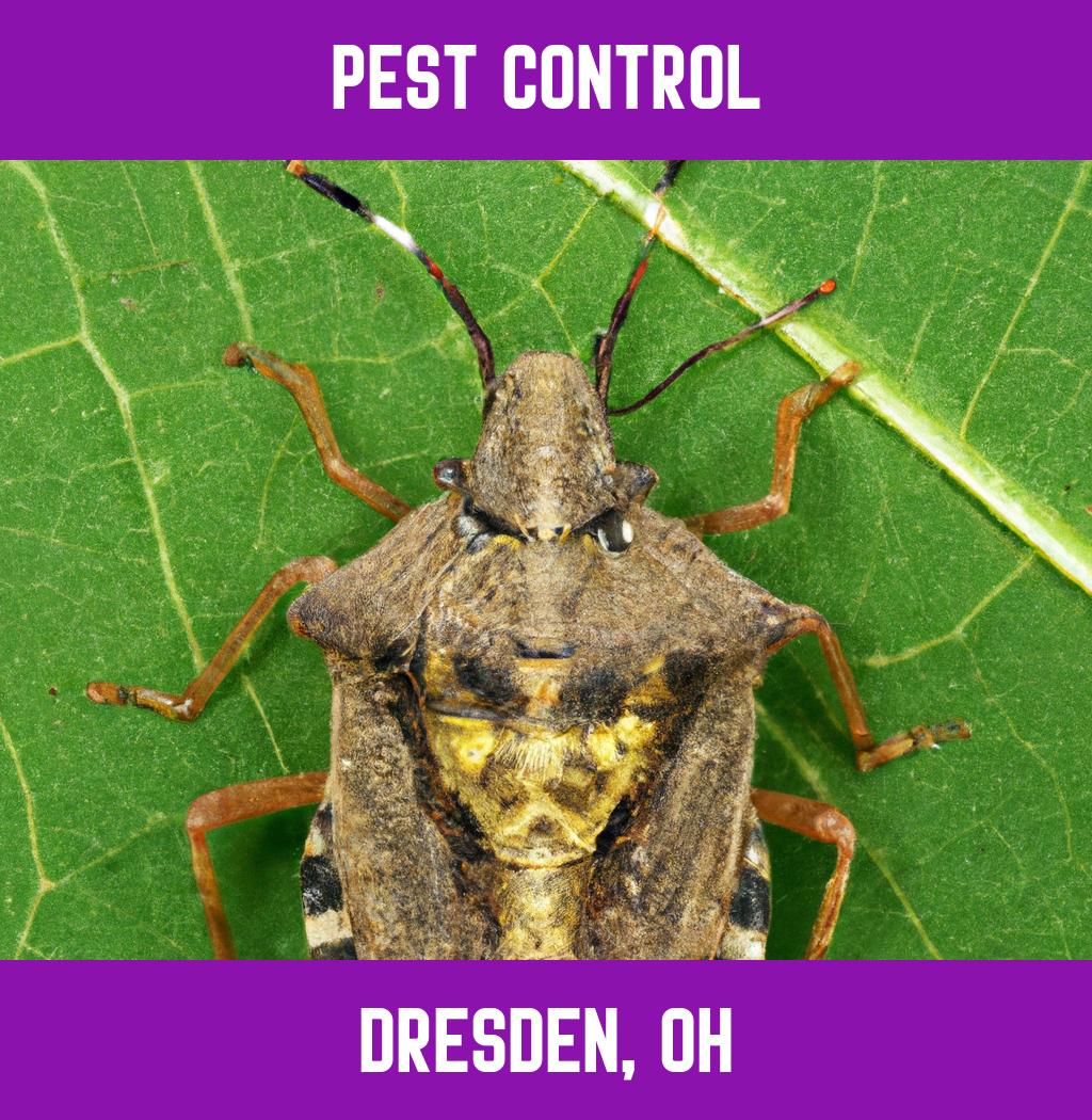 pest control in Dresden Ohio