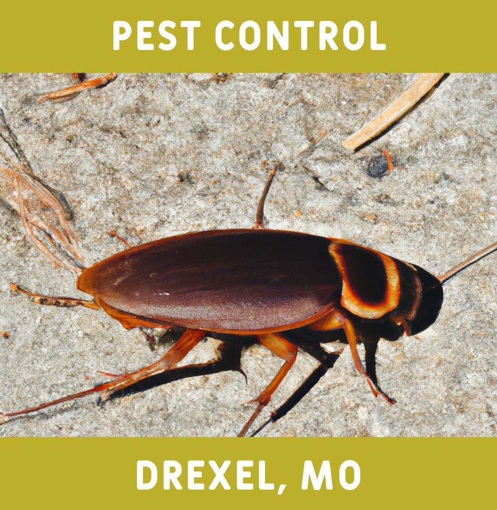 pest control in Drexel Missouri