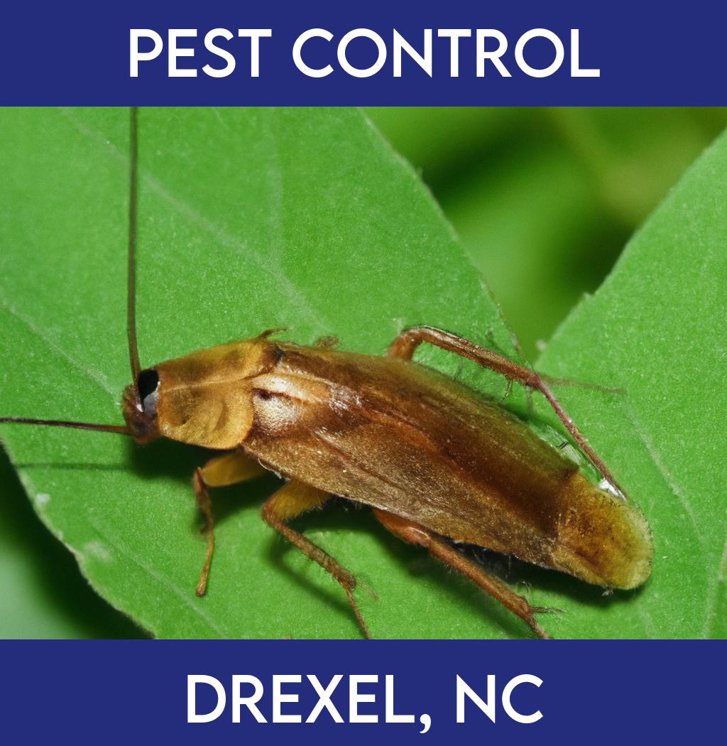 pest control in Drexel North Carolina